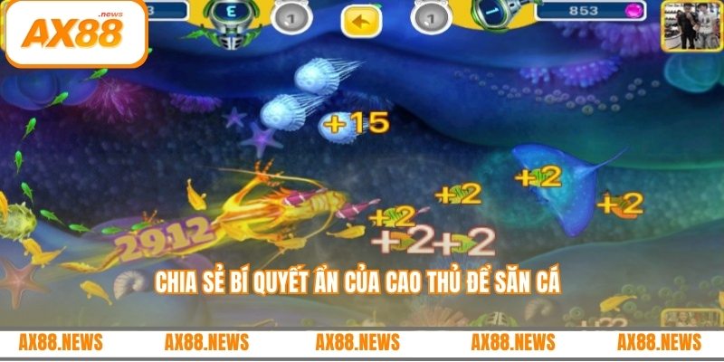 Chia sẻ bí quyết ẩn của cao thủ để săn cá