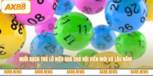 Nuôi bạch thủ lô